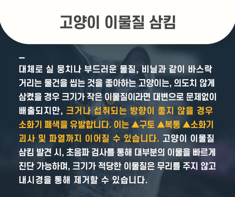 5984e776878f1c4953e52ab8b9aec38d_1762584473_5519.jpg 5984e776878f1c4953e52ab8b9aec38d_1762584473_5519.jpg