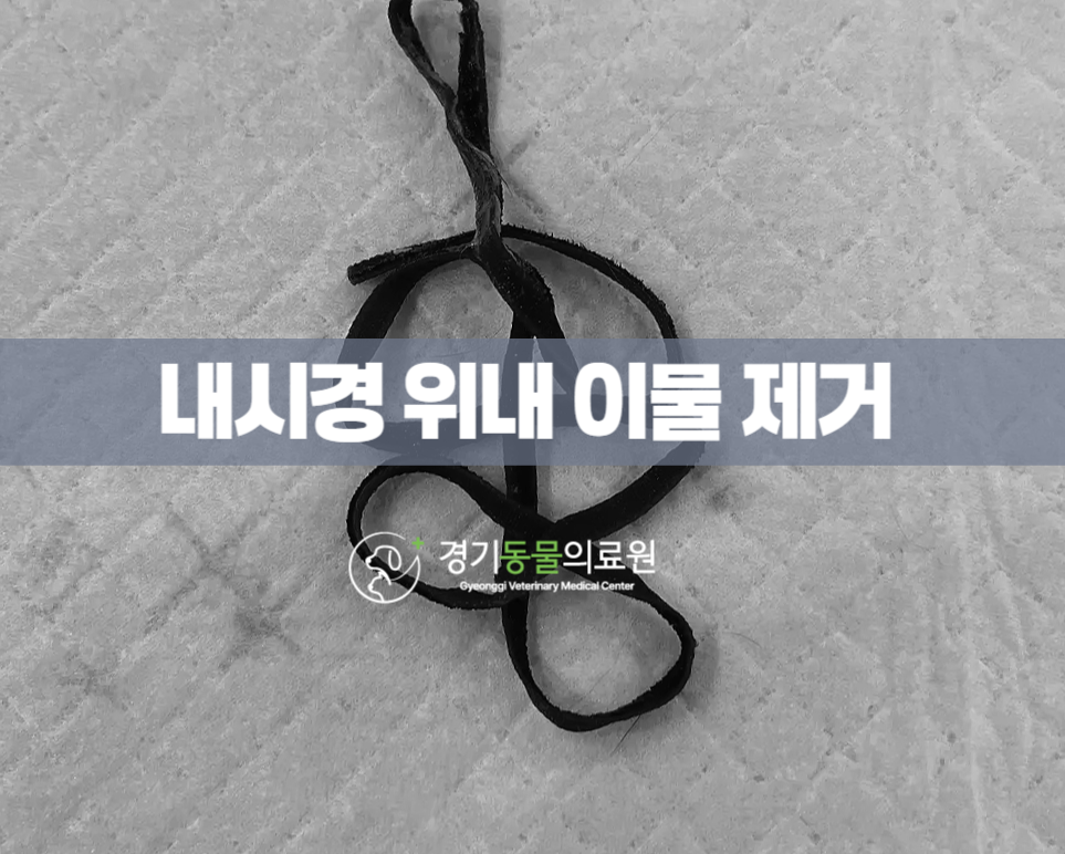 5984e776878f1c4953e52ab8b9aec38d_1762584482_598.png 5984e776878f1c4953e52ab8b9aec38d_1762584482_598.png