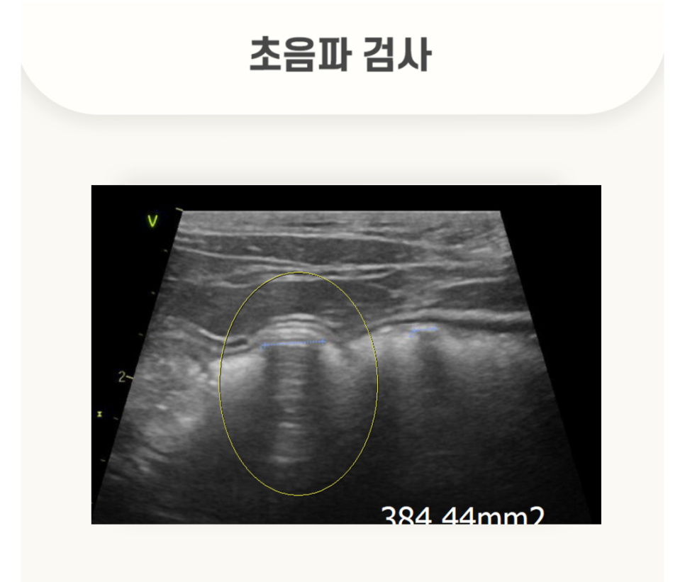 5984e776878f1c4953e52ab8b9aec38d_1762584491_8791.png 5984e776878f1c4953e52ab8b9aec38d_1762584491_8791.png