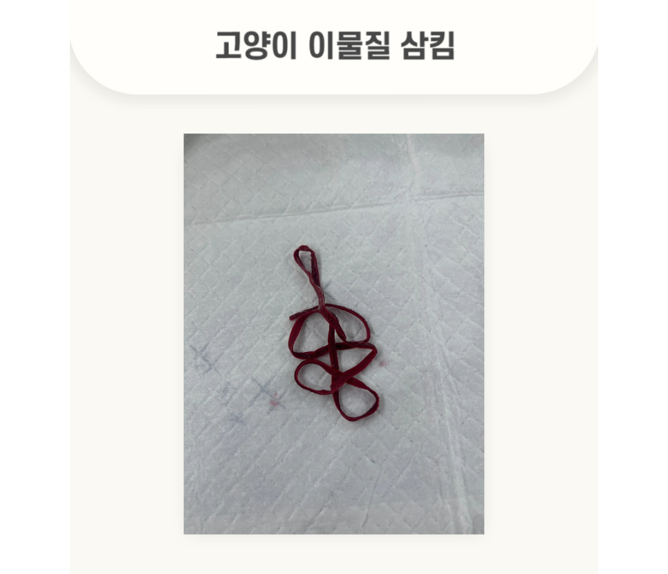 5984e776878f1c4953e52ab8b9aec38d_1762584631_2492.png 5984e776878f1c4953e52ab8b9aec38d_1762584631_2492.png