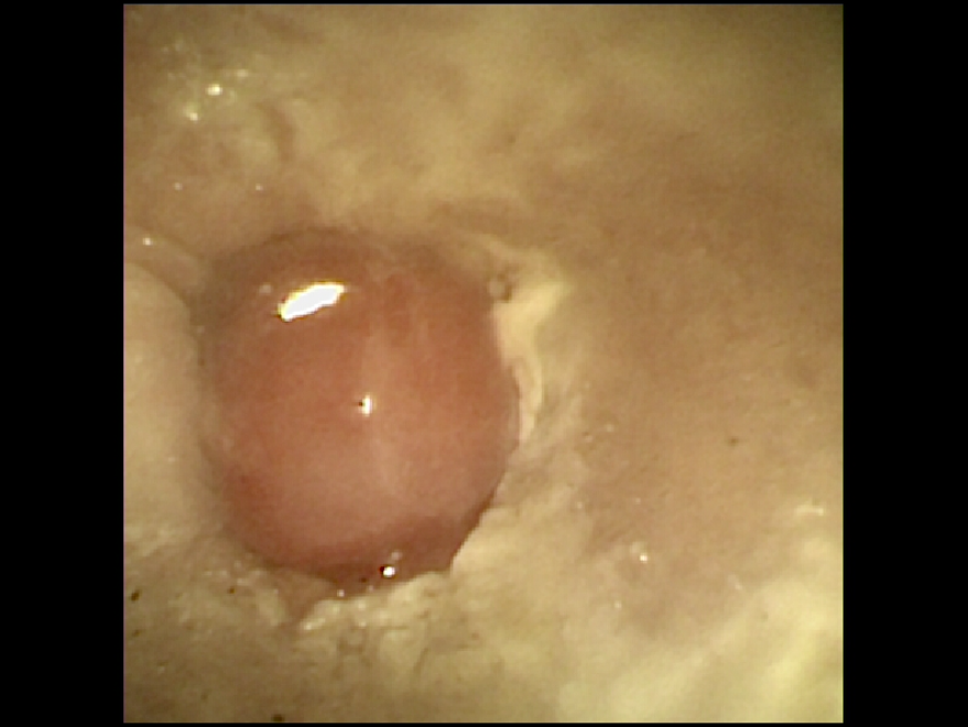 5984e776878f1c4953e52ab8b9aec38d_1762584937_5762.png 5984e776878f1c4953e52ab8b9aec38d_1762584937_5762.png